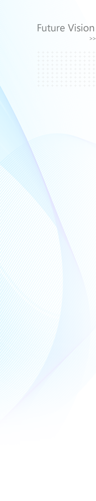 Future Vision